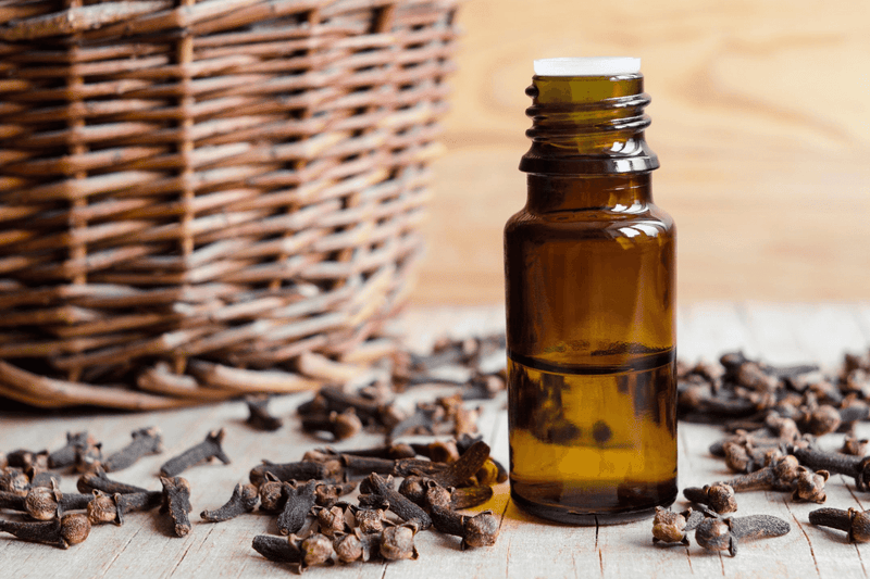 Top clove benefits for hair and skin
