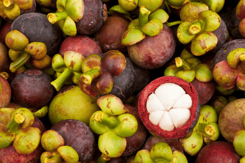 The health, skin, and cosmetic product benefits of mangosteen